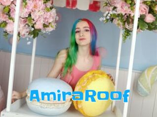 AmiraRoof