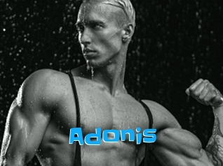 Adonis_