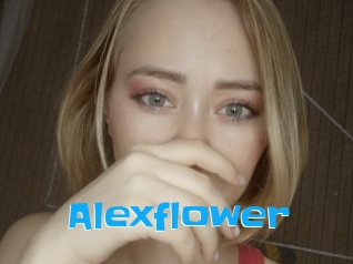 Alexflower