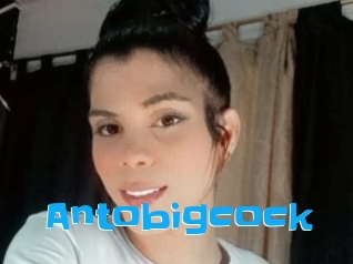 Antobigcock