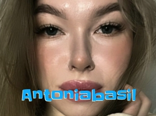 Antoniabasil