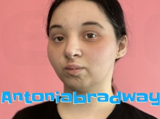 Antoniabradway