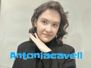 Antoniacavell