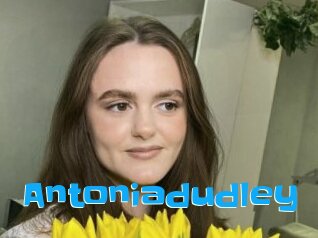 Antoniadudley