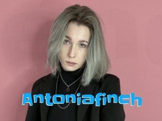 Antoniafinch