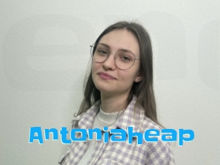 Antoniaheap