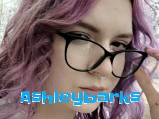 Ashleybarks