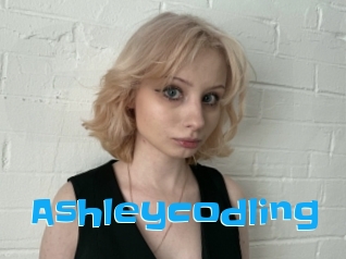 Ashleycodling