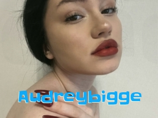 Audreybigge