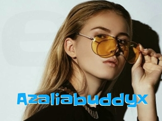 Azaliabuddyx