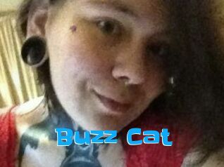 Buzz_Cat