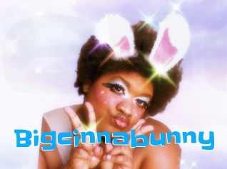 Bigcinnabunny