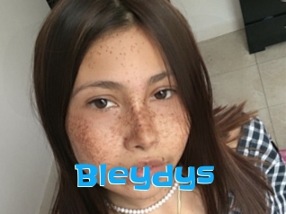 Bleydys