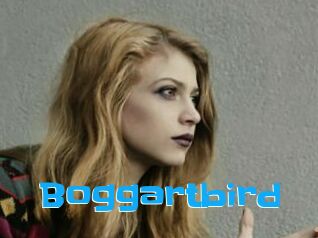 Boggartbird