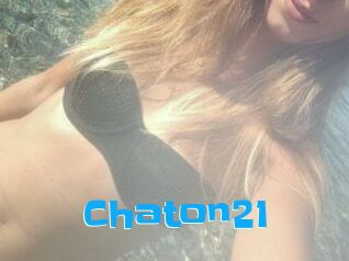 Chaton21