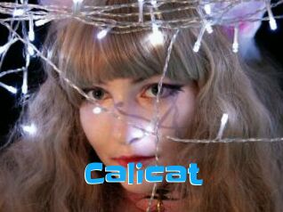 Calicat