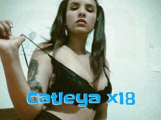 Catleya_x18