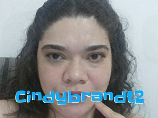 Cindybrandt2