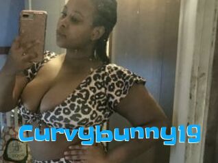 Curvybunny19