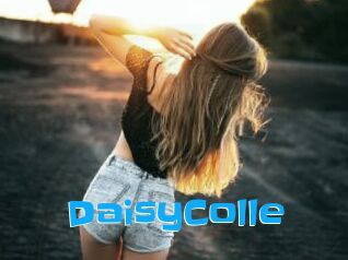 DaisyColle