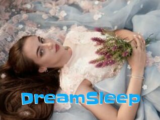 DreamSleep