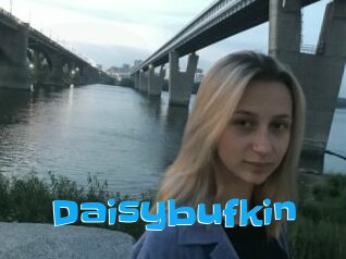 Daisybufkin