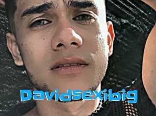 Davidsexibig