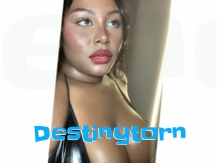 Destinytorn