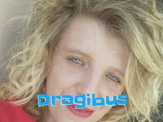 Dragibus