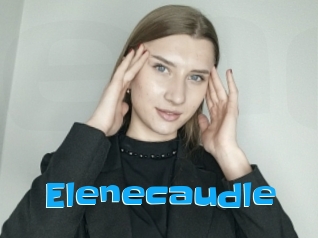 Elenecaudle