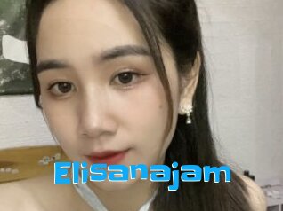 Elisanajam