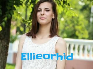 Ellieorhid