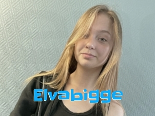 Elvabigge