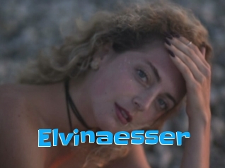 Elvinaesser