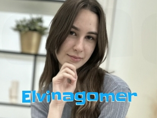 Elvinagomer