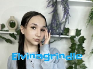 Elvinagrindle