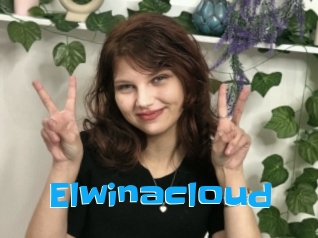 Elwinacloud