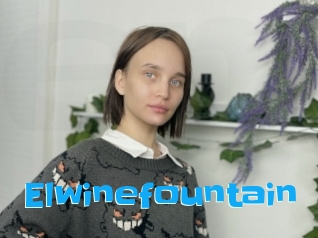 Elwinefountain