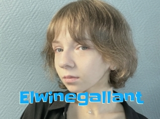 Elwinegallant