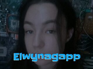 Elwynagapp