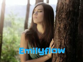 Emilyflow