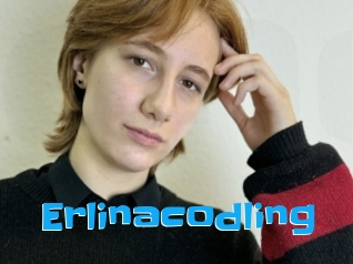 Erlinacodling