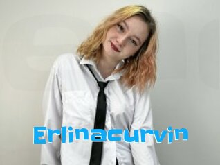 Erlinacurvin