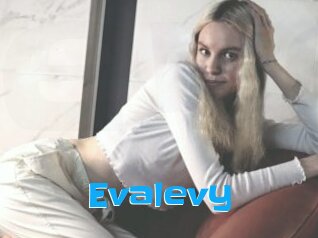 Evalevy