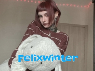 Felixwinter