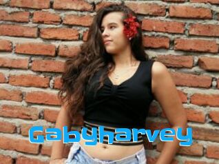 Gabyharvey