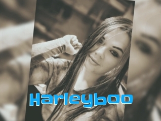 Harleyboo