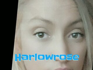 Harlowrose