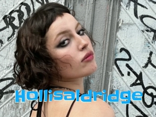 Hollisaldridge