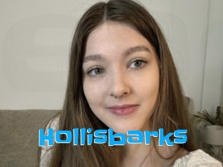 Hollisbarks